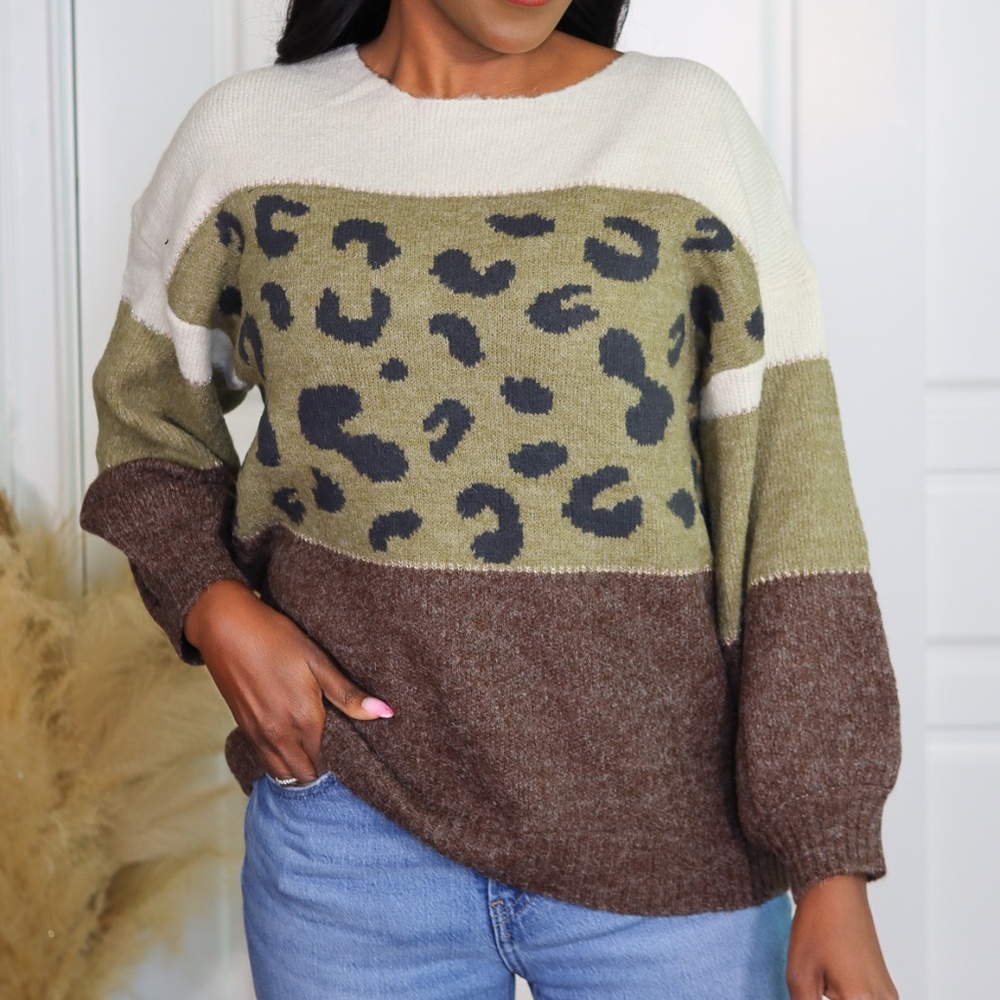 ANIMAL PRINT WITH COLOR BLOCKS SWEATER - Picture 2 of 9